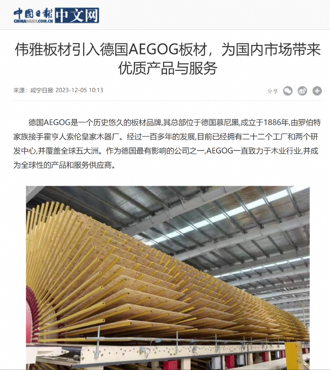中國日報(bào)展現(xiàn)偉雅板材